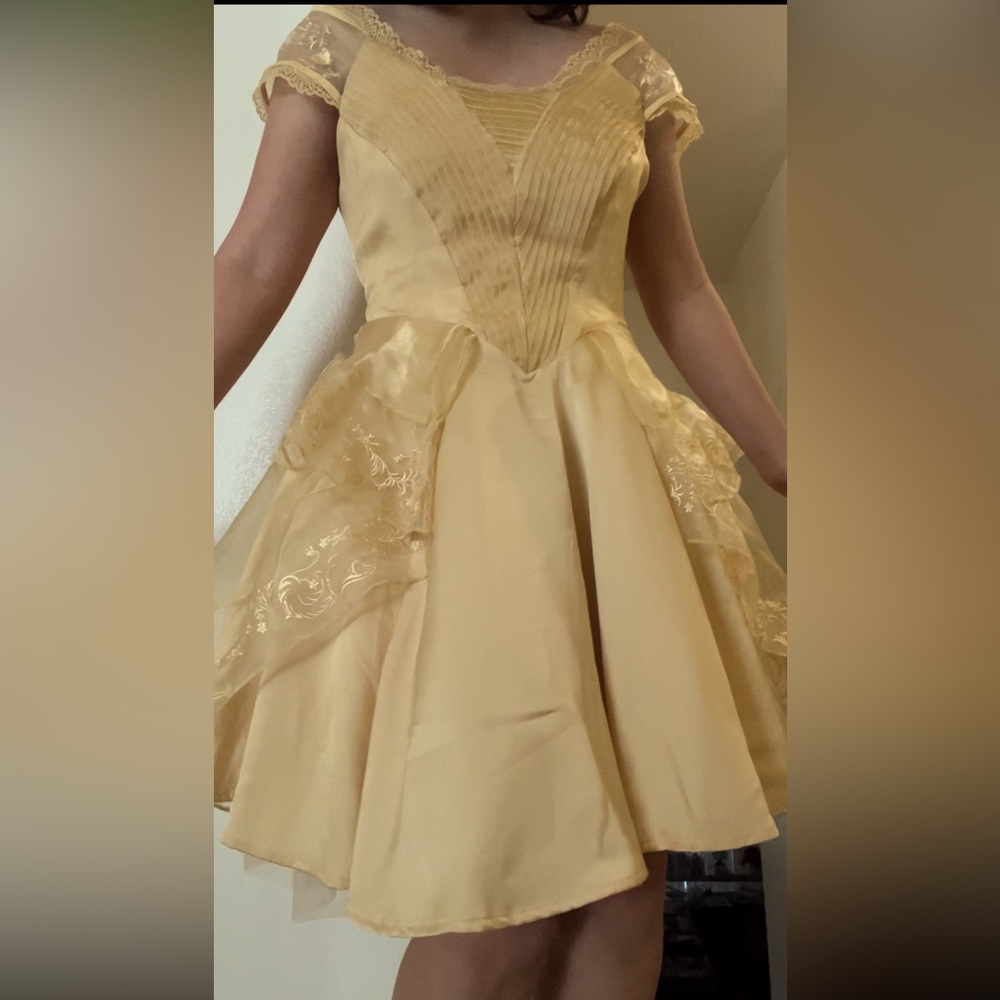 Beauty and the Beast Live action dress